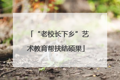 “老校长下乡”艺术教育帮扶结硕果